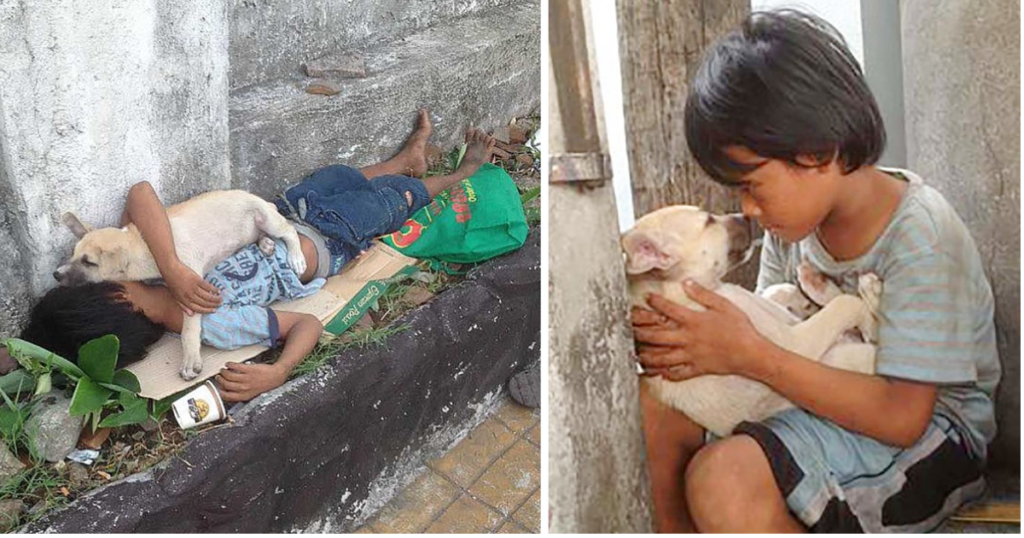 A Touching Story! After Being Abandoned By His Parents, The Boy Found Love In The Dog’s Arms